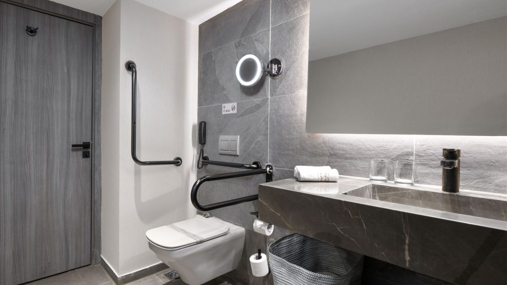 Accessible Historia Suite toilet