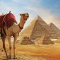 day tours from cairo