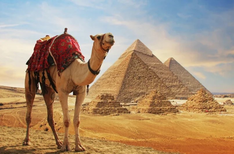day tours from cairo