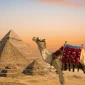 excursions in cairo egypt