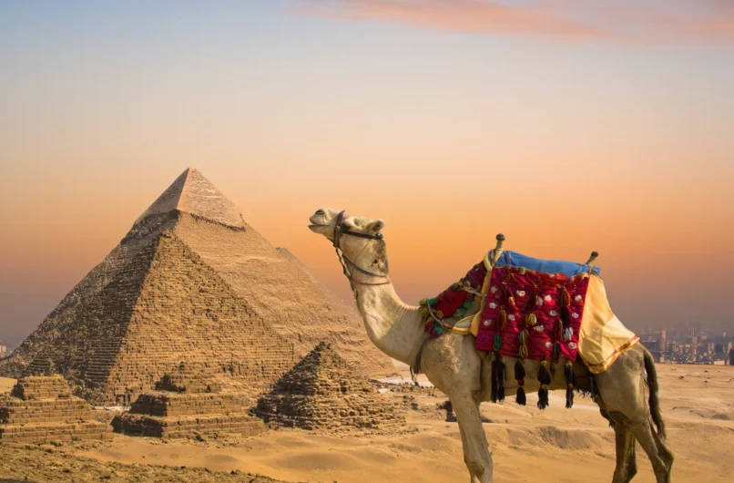 excursions in cairo egypt