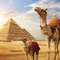 egypt family tour packages