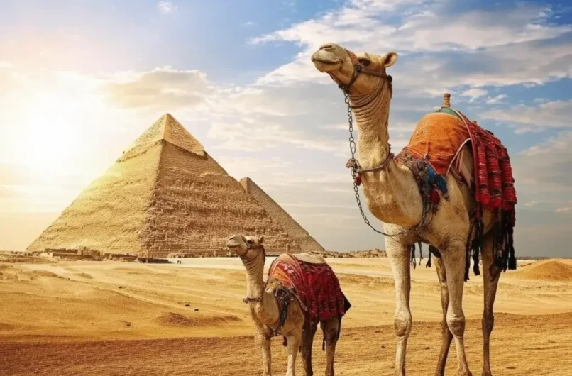 egypt family tour packages