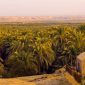 Dakhla Oasis