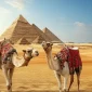 egypt family tours