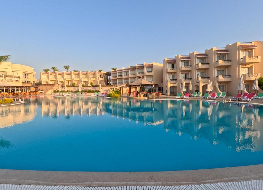 Ivy Cyrene Sharm Resort Adults