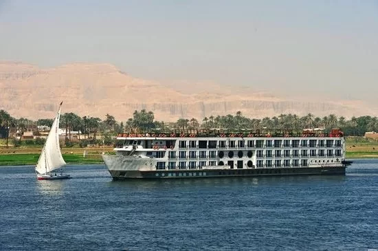 MS Royal Elite 1